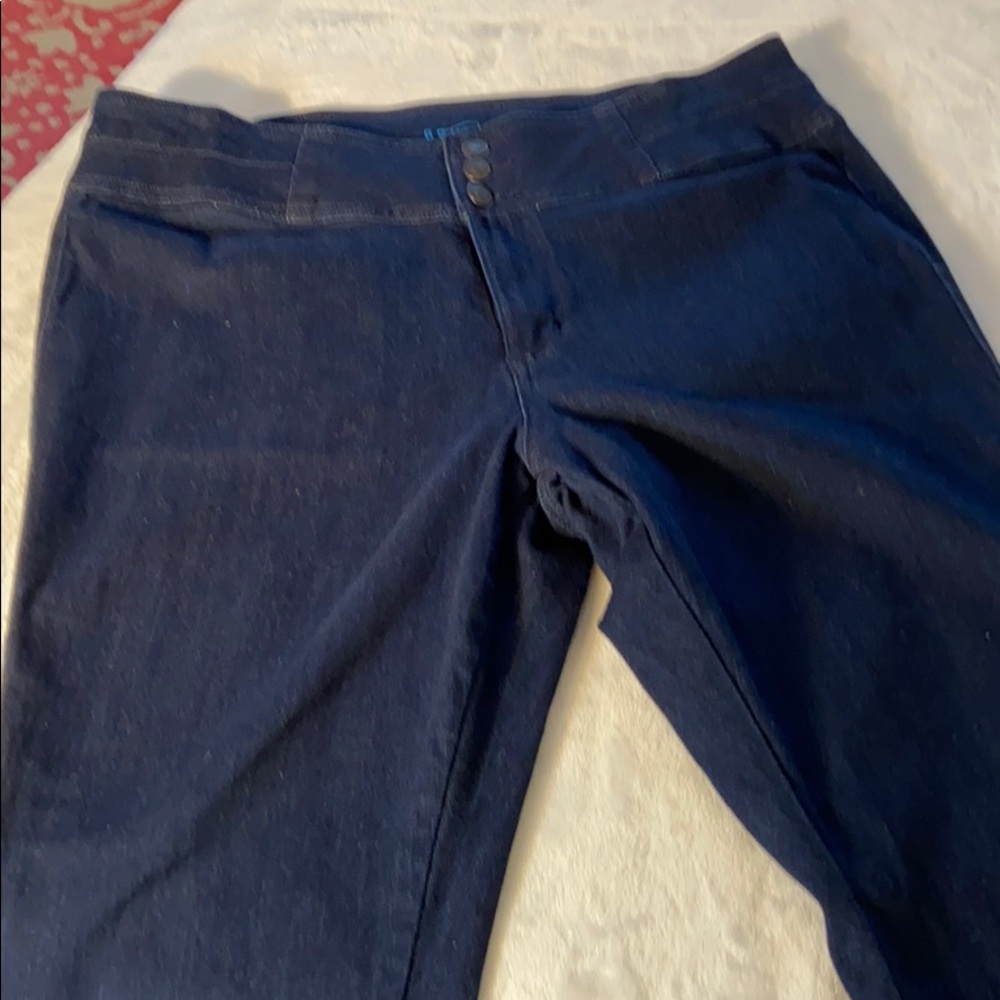 Boutique High Rise Skinny Jean - 16 W